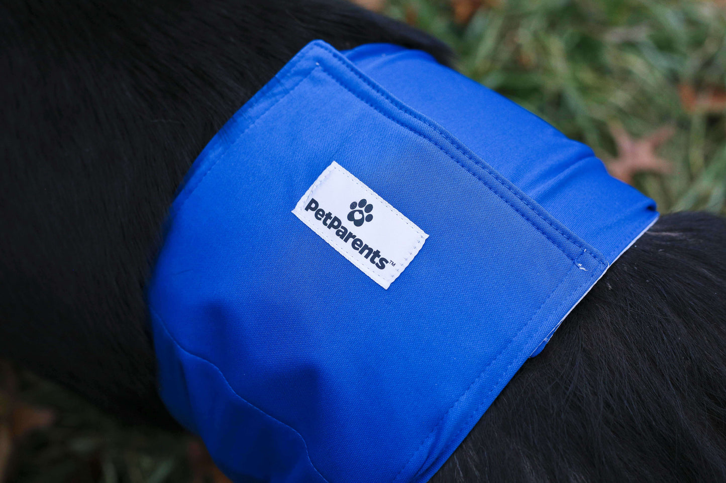 Dog Belly Bands Single Blue-Black Pack