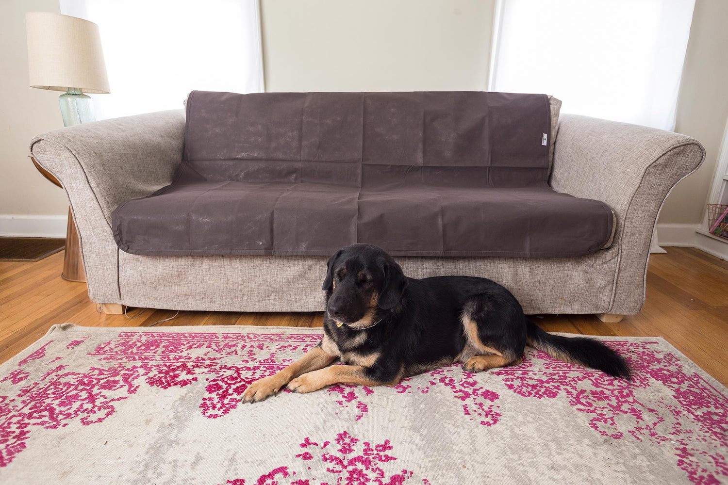 Furniture Blanket Of Darker Colour With Couch View