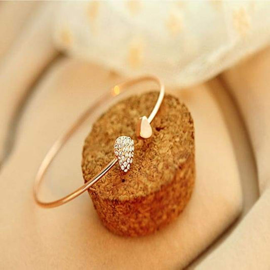Double Heart Bangle Jewelry